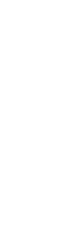 春の訪れ　蝶