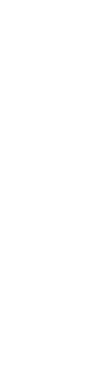 想像上の鳥　鳳凰