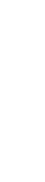 鳳凰のとまる木　桐