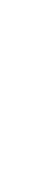 晴れの門出を飾る　桜