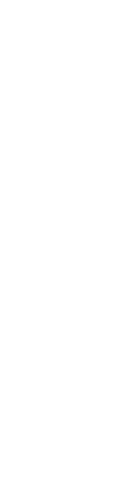 一見は単調、無限の可能性　縞