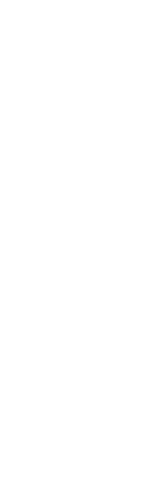 豊かさの象徴　雀