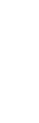 日本文化に根付く鳥　燕