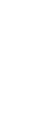 葉も実も使われる珍しい文様　橘